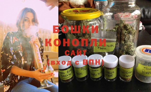 прущие грибы Краснотурьинск