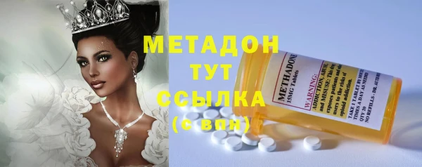 прущие грибы Краснотурьинск