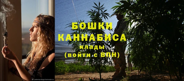 трава Заполярный
