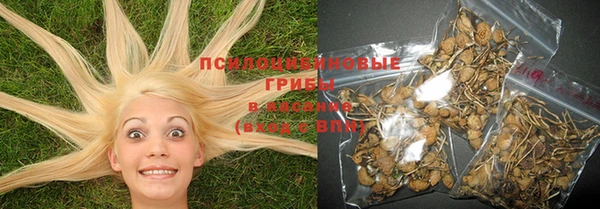 PSILOCYBIN Зарайск