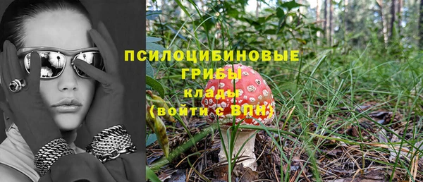 стафф Кодинск