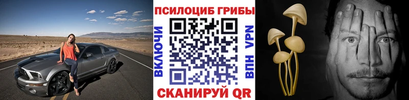 kraken как войти  купить закладку  Киселёвск  Галлюциногенные грибы Cubensis 