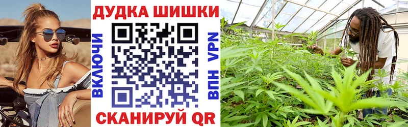 хочу наркоту  Киселёвск  Марихуана White Widow 
